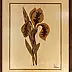 Sebastian Szczepański - Inlay - Irises