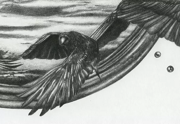 Agnieszka Osak - Inteligencja