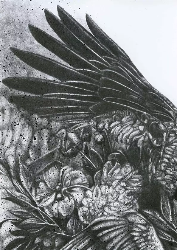 Agnieszka Osak - Intention