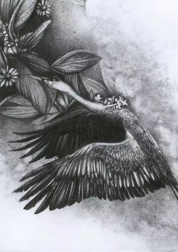 Agnieszka Osak - Intention