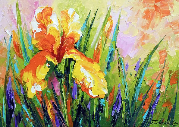 Olha Darchuk - Iris 