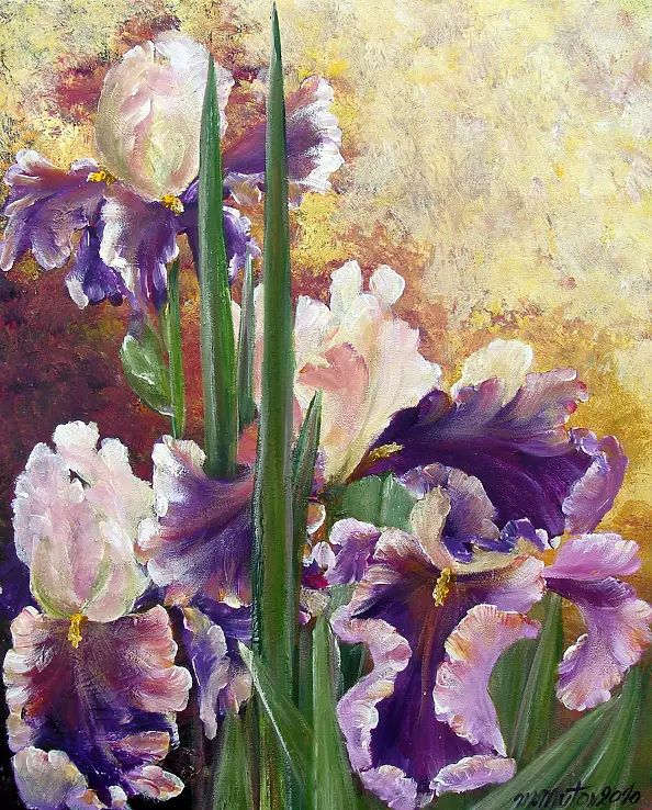 Małgorzata Mutor - Irises on a hot June