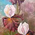 Małgorzata Mutor - Irises in the sun