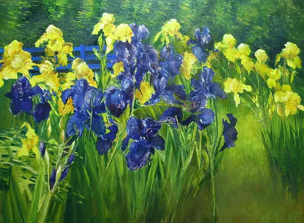Henryk Radziszewski - Irises in the garden
