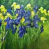 Henryk Radziszewski - Irises in the garden