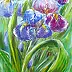 Maria Roszkowska - Irises