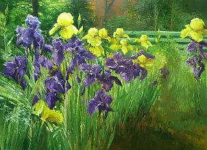 Henryk Radziszewski - Irises in May