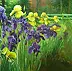 Henryk Radziszewski - Irises in May