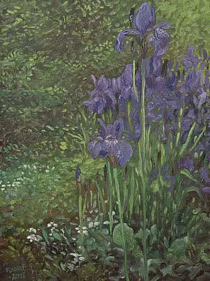 Wojciech Pater - Irises