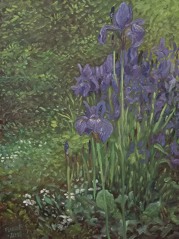 Wojciech Pater - Irises