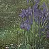 Wojciech Pater - Irises
