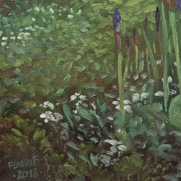 Wojciech Pater - Irises