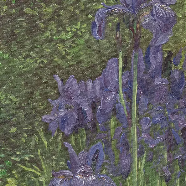 Wojciech Pater - Irises