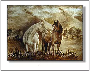 Jolanta Dusza - Irish horses