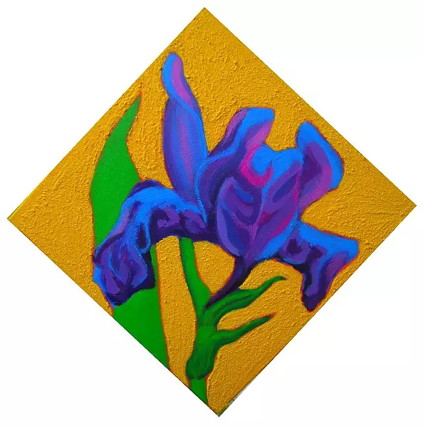 Mariusz Sobociński - Irys 2