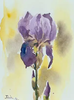 Zdzisław Rutkowski - Irys XXX