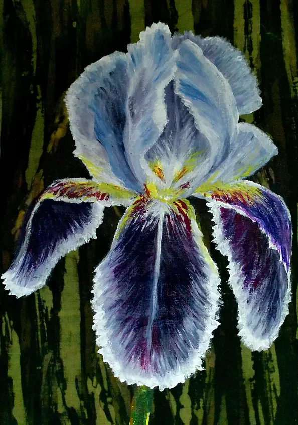 Anna Danelska - Iris