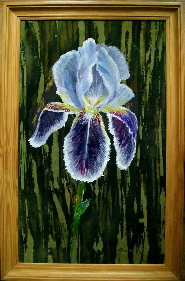 Anna Danelska - Iris