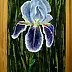 Anna Danelska - Iris