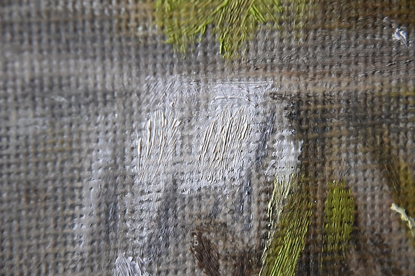 Agnieszka Długołęcka - Iris