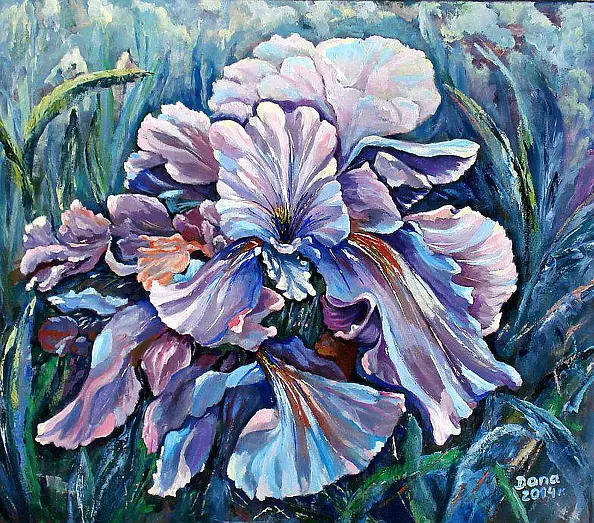 Danuta Polniaszek - iris fancy