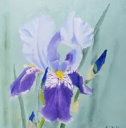 Ewa Słodzińska - Iris, blue-violet