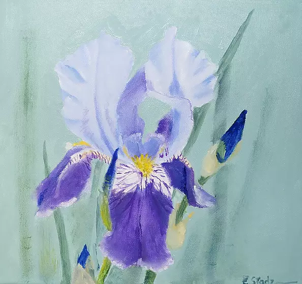 Ewa Słodzińska - Iris, blue-violet