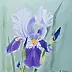 Ewa Słodzińska - Iris, blue-violet
