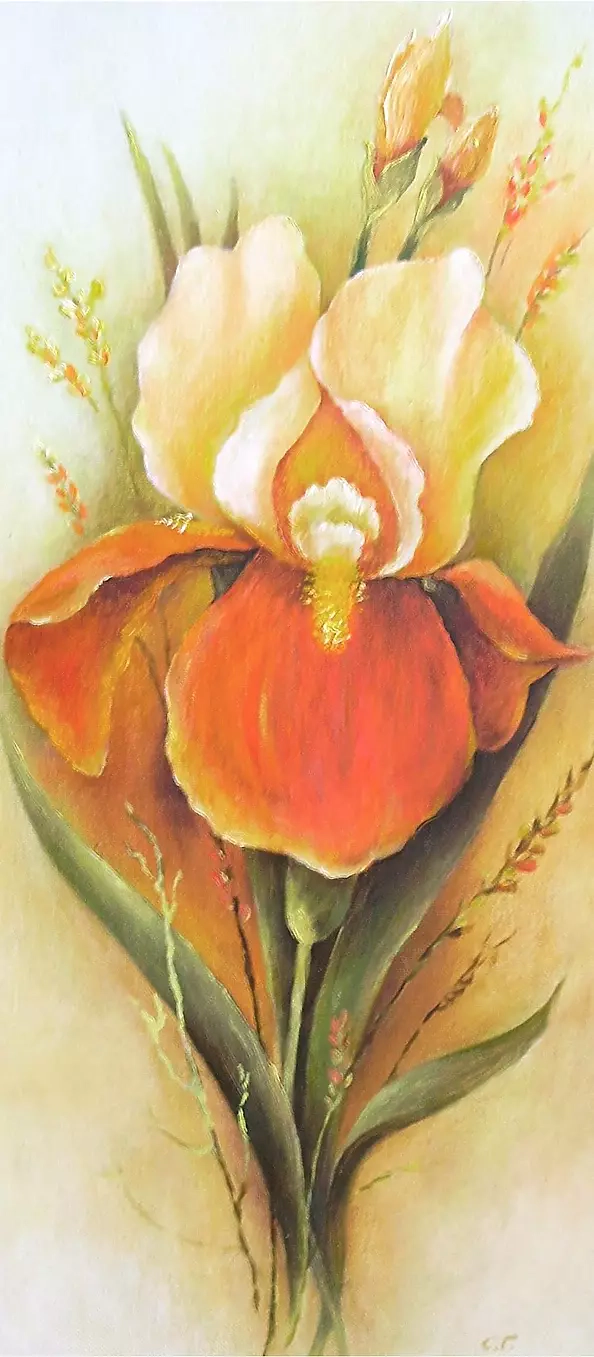 Stanisław Górski - Irys