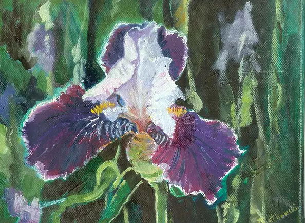Zdzisław Rutkowski - Iris