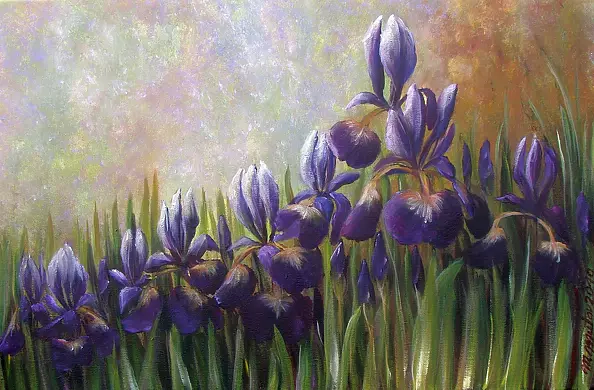 Małgorzata Mutor -  Irysowa nostalgia