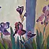 Ewa Witkowska - Irysy