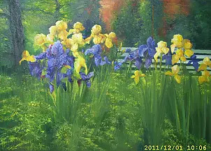   - Irises