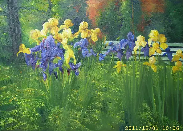Henryk Radziszewski - Irises