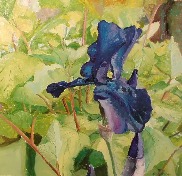 Jacek Syguła - Irises