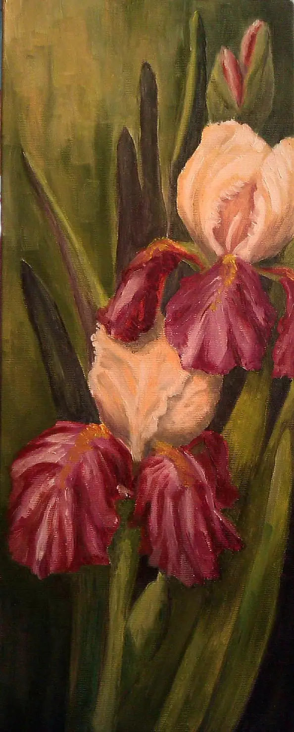 Kamila Dobrowolska Karaczewska - Irises