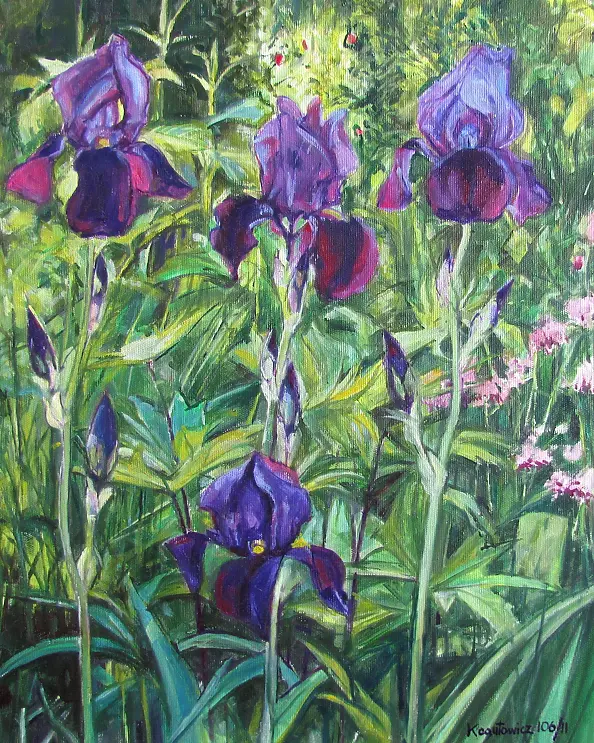 Katarzyna Kogutowicz - Irises