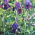 Katarzyna Kogutowicz - Irises