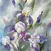 Lidia Olbrycht - - fleurs irises nature