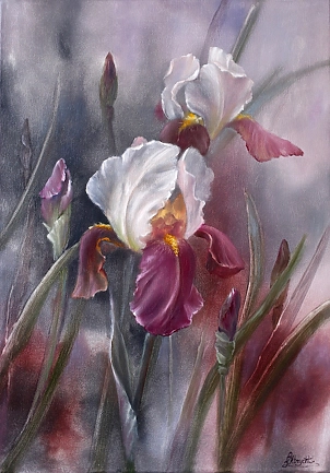 Lidia Olbrycht - Irises