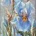 Maria Gruza - Irises