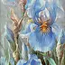 Maria Gruza - Irises