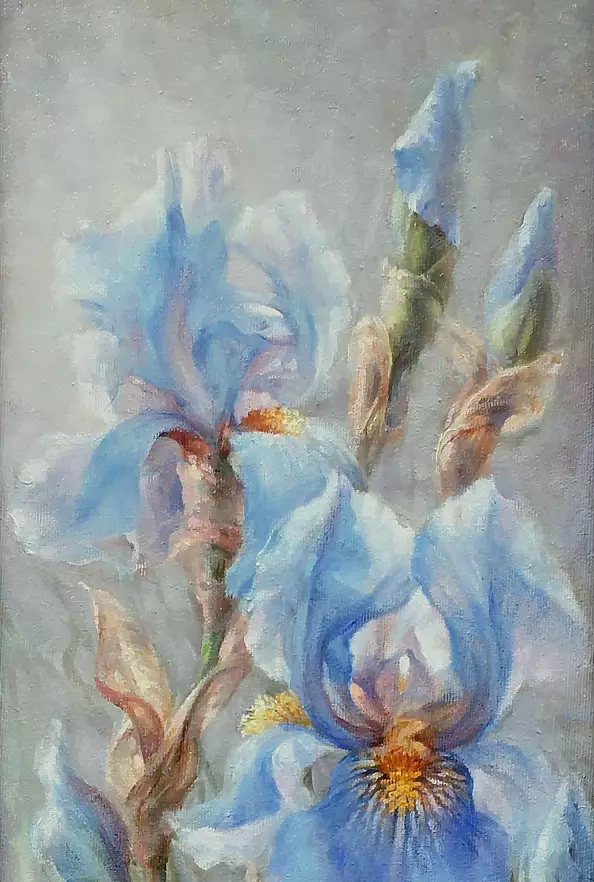 Maria Gruza - Irises