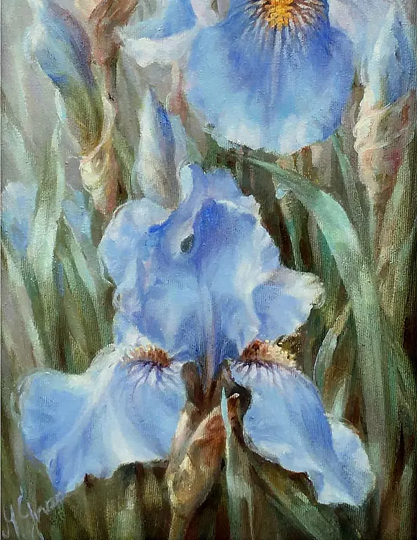 Maria Gruza - Irises