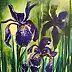 Marta Milewska - Irises