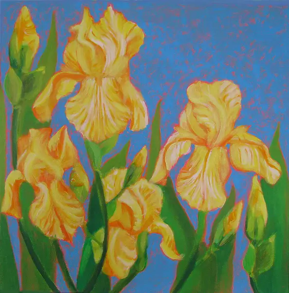 Mariusz Sobociński - Irysy