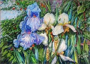Danuta Polniaszek  - Pastel irises