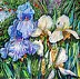 Danuta Polniaszek - Pastell Iris