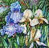 Danuta Polniaszek - Pastel irises