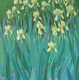 Piotr Surma - Irises